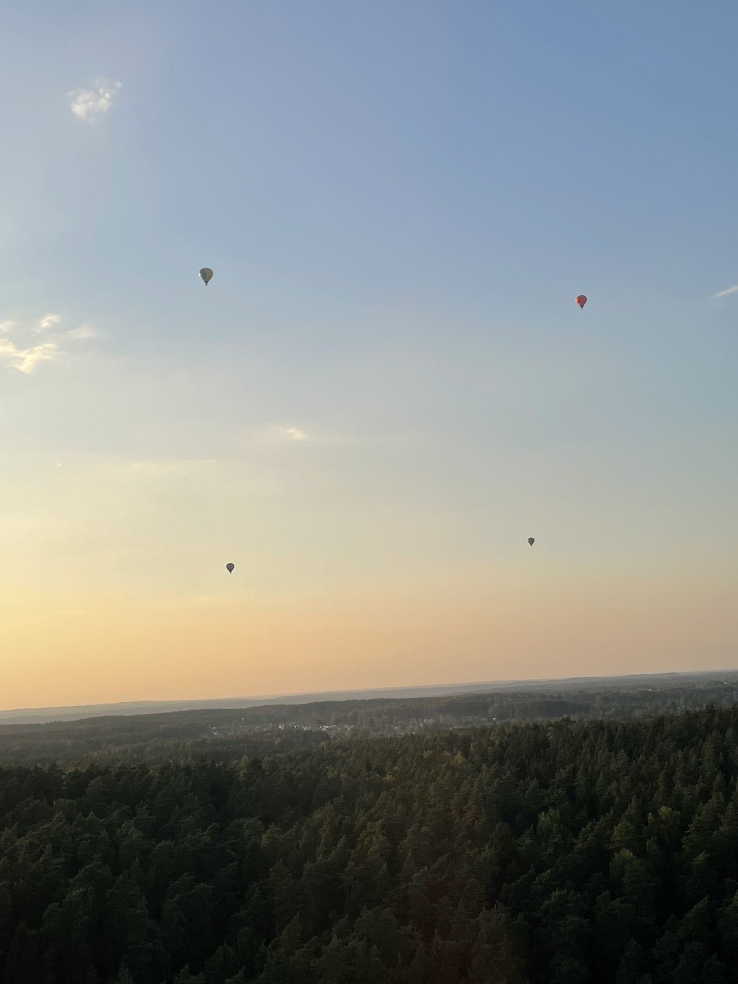 Balloon 8